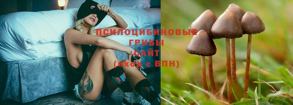 дурь Абдулино