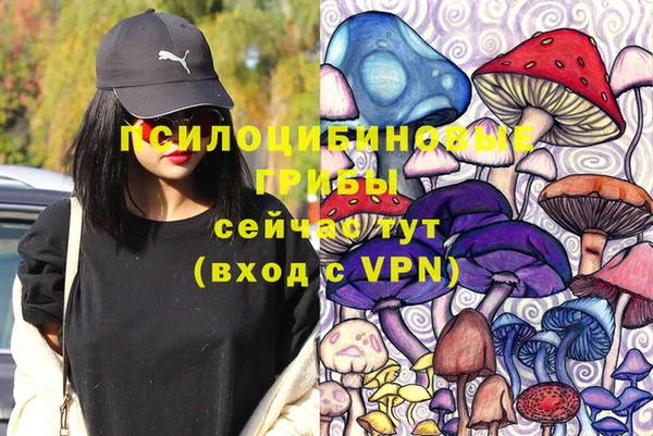 соль ск Абаза