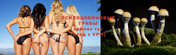 эйфоретик Няндома