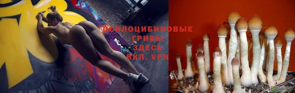 ECSTASY Абинск