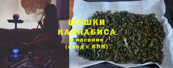 сатива Алзамай